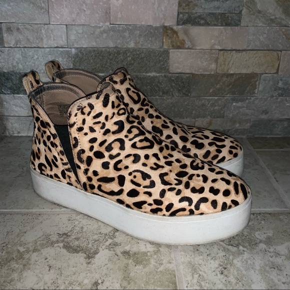 Steve Madden | Shoes | Steve Madden 